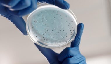 NYC Legionnaires' disease outbreak jumps to 14 confirmed cases
