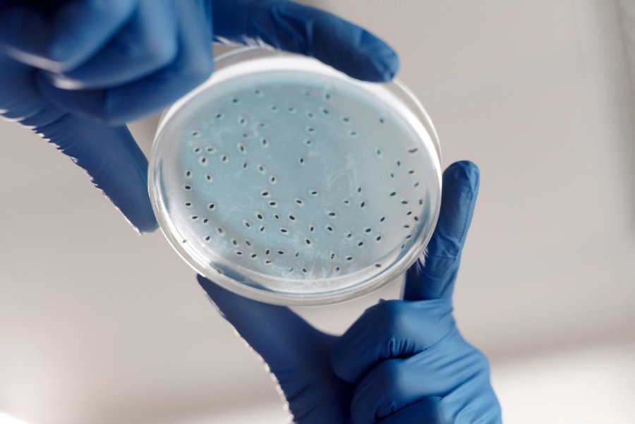 NYC Legionnaires' disease outbreak jumps to 14 confirmed cases