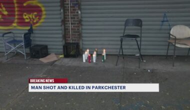 News 12 | Bronx | Man Shot In The Head In Front Of Parkchester Liquor Store Was Targeted By Gunman
