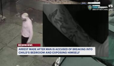 federal plaza incendiary device