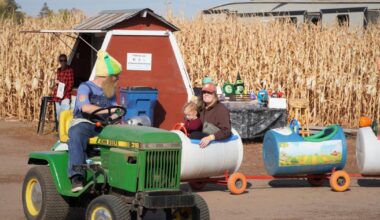 Popular corn maze plans return to Brooklyn Park after 1-year hiatus | Brooklyn Park