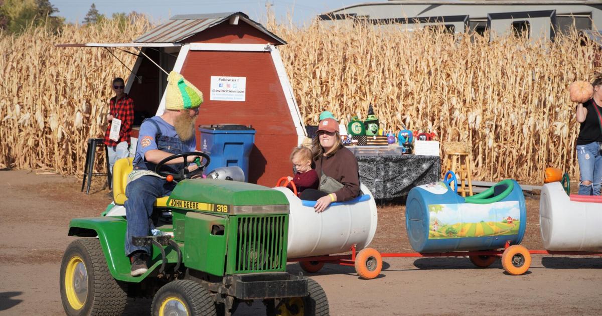 Popular corn maze plans return to Brooklyn Park after 1-year hiatus | Brooklyn Park