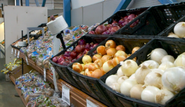 New York State Families Can Apply for Summer EBT Benefits for Grocery Purchases | News