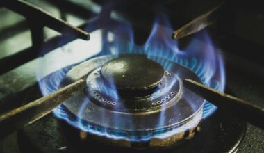 Federal appeals court upholds New York’s 'gas stove ban' amid legal challenge | New York