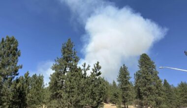 Firefighters respond to brush fire on East Queen Avenue in Spokane County | News