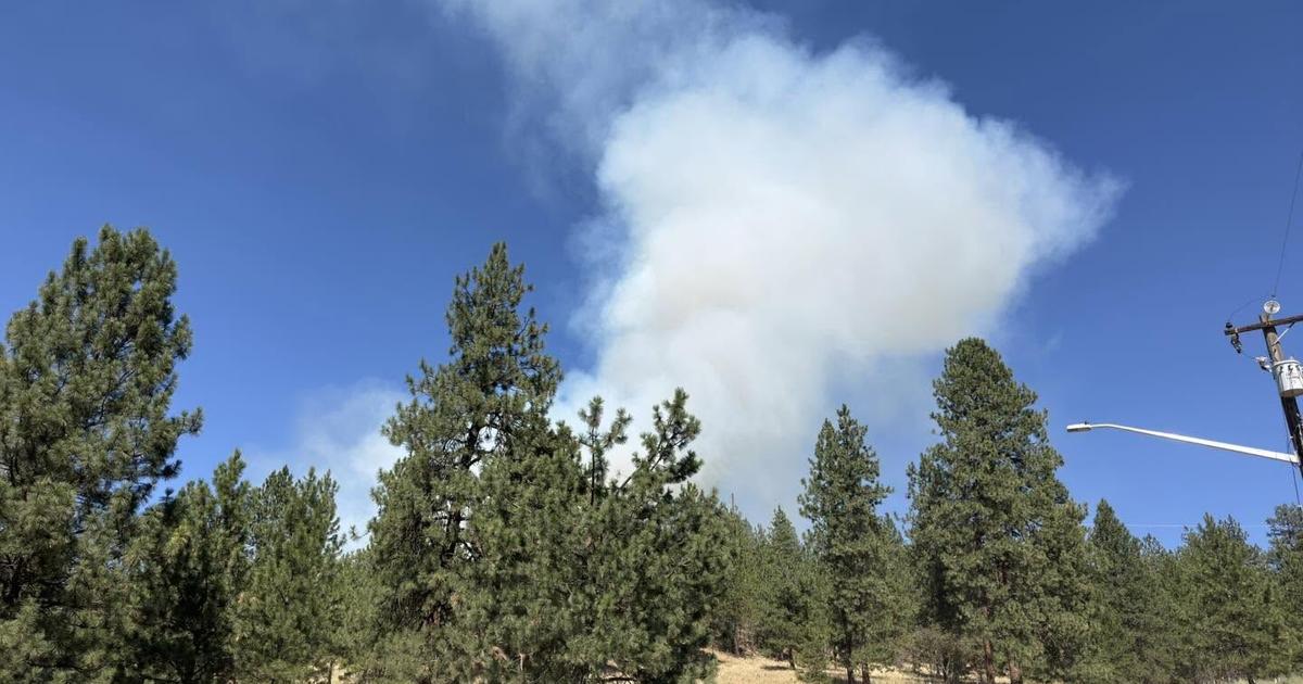 Firefighters respond to brush fire on East Queen Avenue in Spokane County | News
