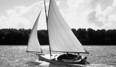 Deephaven author tells a story of restoration in 'Volante' | Business
