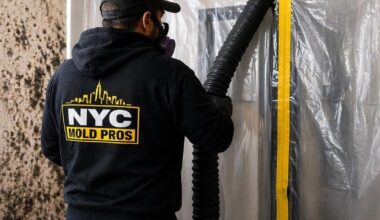 Mold Remediation NYC Now Covers Manhattan to Staten Island | Press Releases