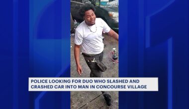 News 12 | Brooklyn | Duo On The Run After Slashing Man Striking Him With Car In Concourse Village