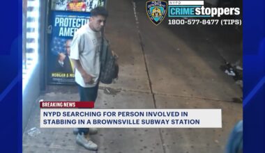 News 12 | Brooklyn | Police Release Images After Man Stabbed In Back At Brownsville Subway Station