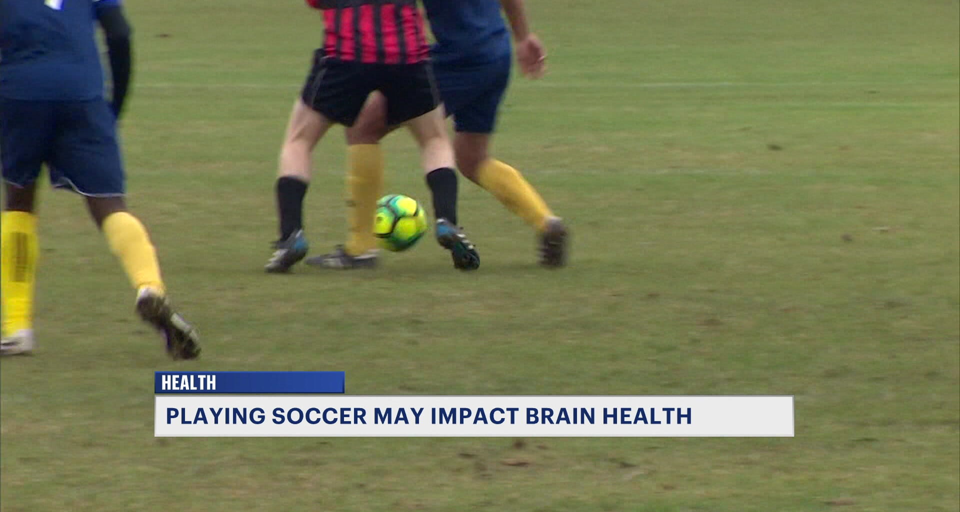 News 12 | Brooklyn | Study Playing Soccer May Impact Brain Health