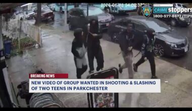 News 12 | Bronx | Group Wanted For Shooting Slashing Two Men In Parkchester