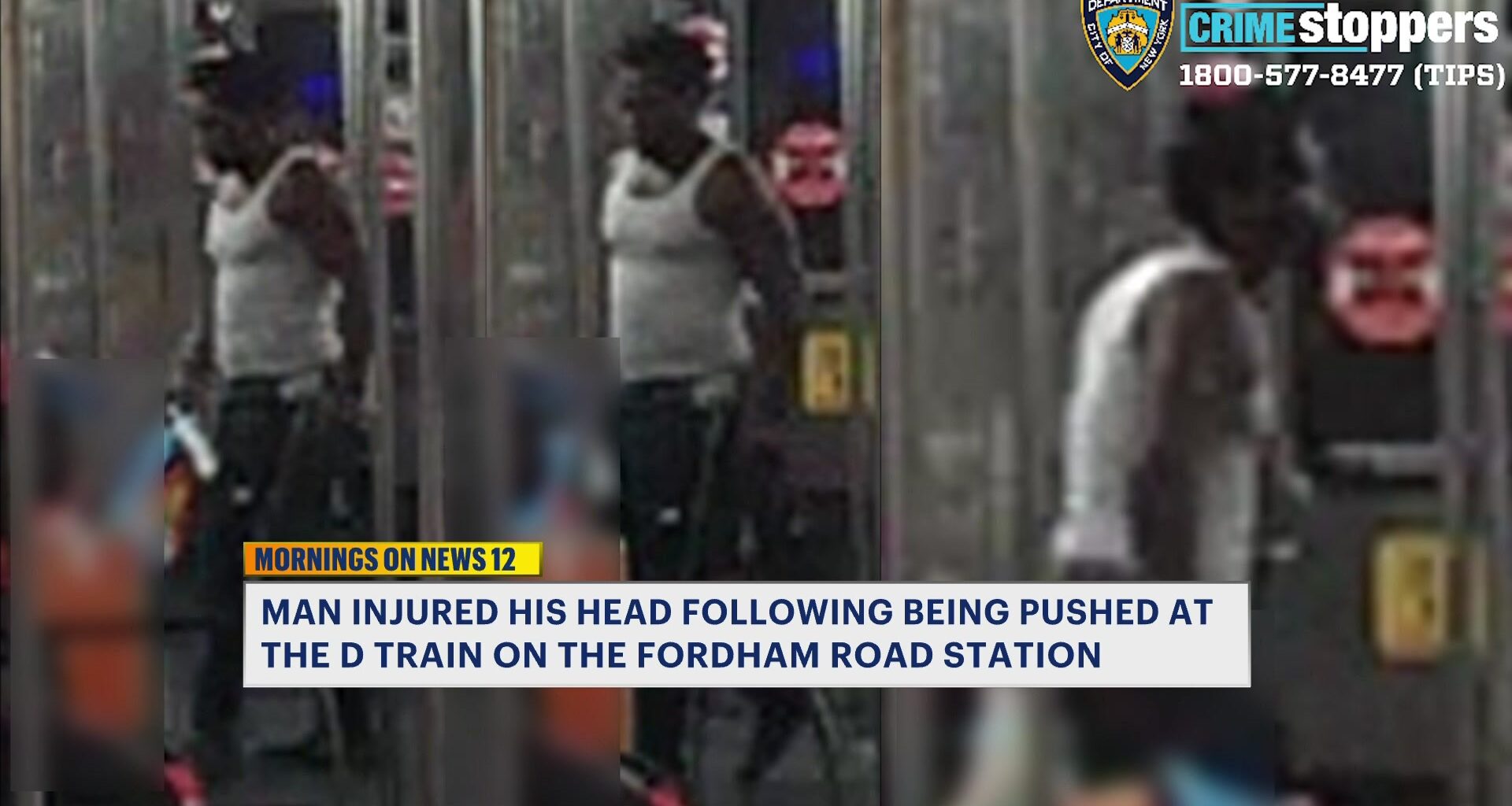 News 12 | Bronx | Man Pushed Onto Incoming Train In Fordham Heights