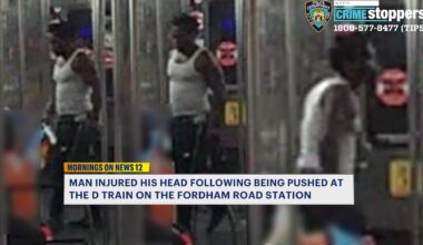 News 12 | Bronx | Man Pushed Onto Incoming Train In Fordham Heights