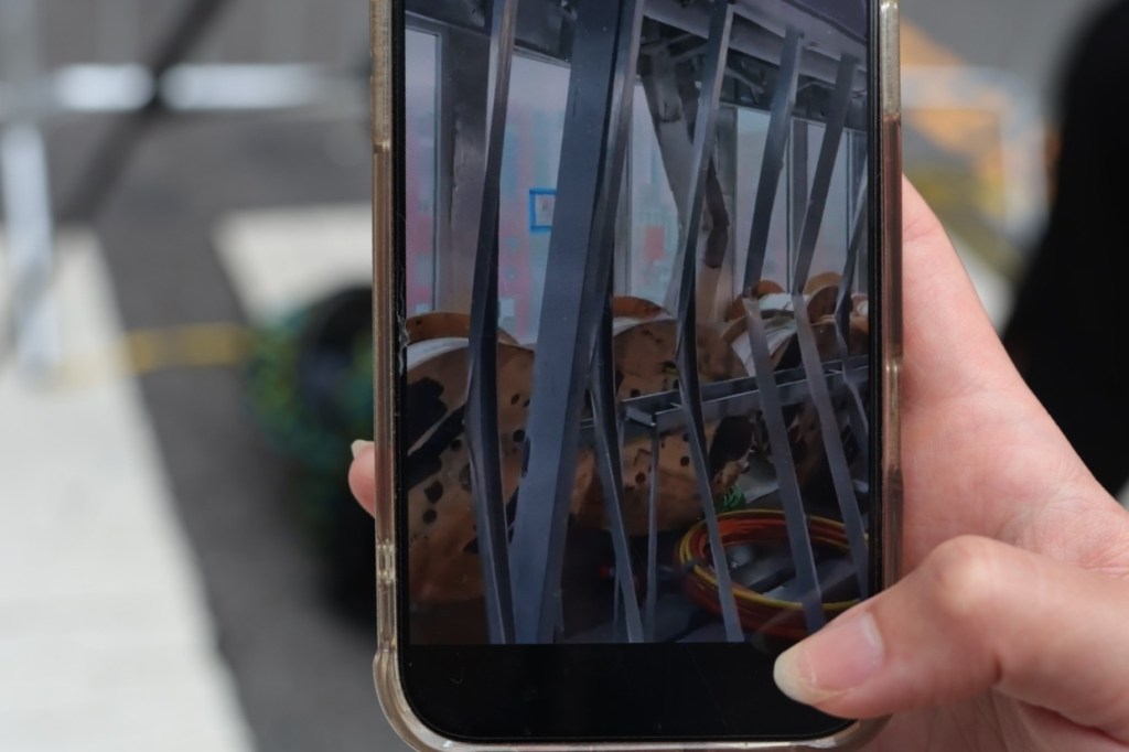 An image on a worker's phone shows a buckling structural support in the rear of an upper floor in the former Pfizer headquarters in Midtown, and bent steel studs in the foreground, July 7, 2026.