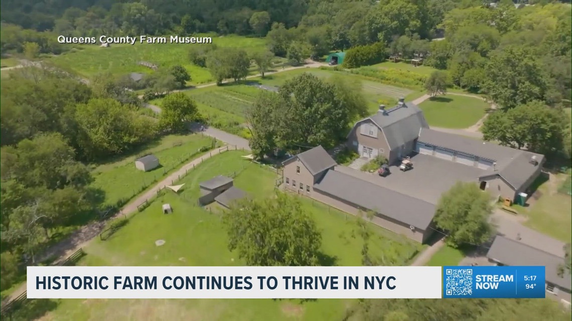 Historic Queens farm offers a glimpse of colonial America in New York City