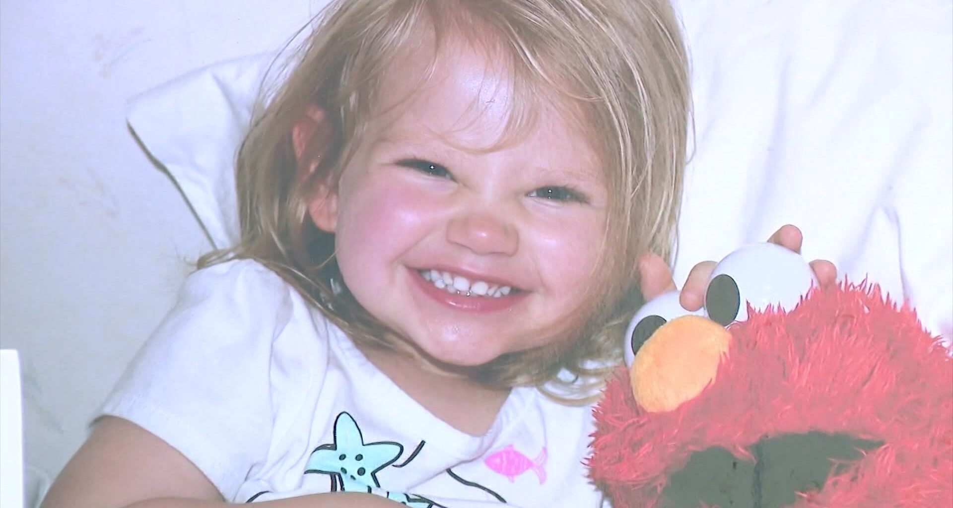 News 12 | Connecticut | Kyras Law Passes The New York State Senate And Assembly