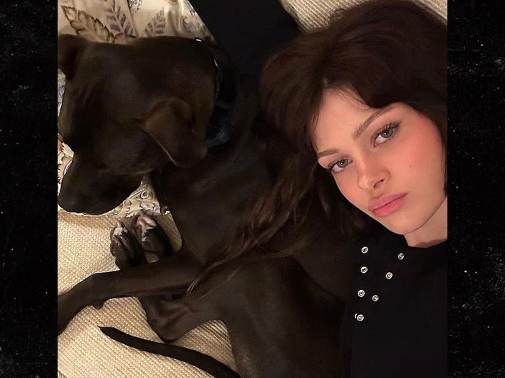 nicola peltz dog