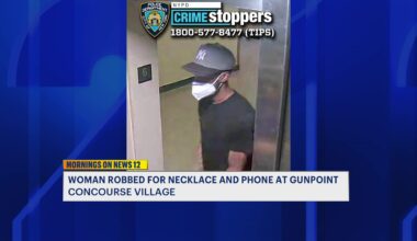 News 12 | Bronx | Man Wanted For Gunpoint Robbery In Concourse Village