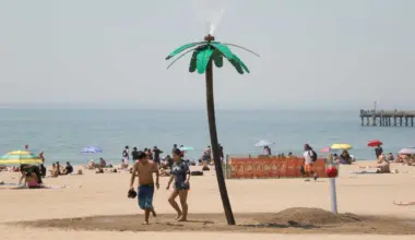 How to cool down in Brooklyn as historic heat wave grips New York City • Brooklyn Paper