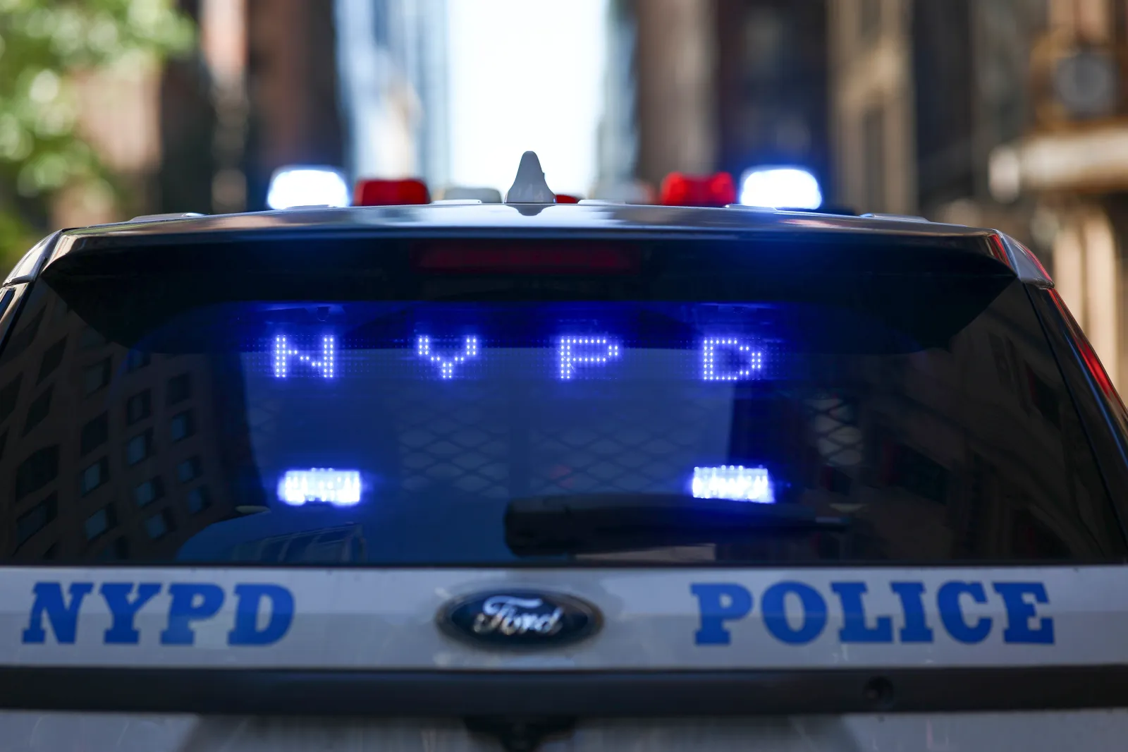 The NYPD logo is displayed in the back window of a squad car, September 20, 2025.
