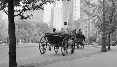 Readers sound off on banning horse carriages, church property and donor organs
