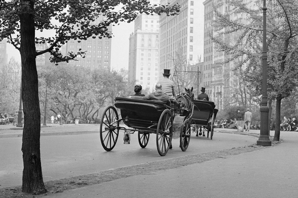 Readers sound off on banning horse carriages, church property and donor organs