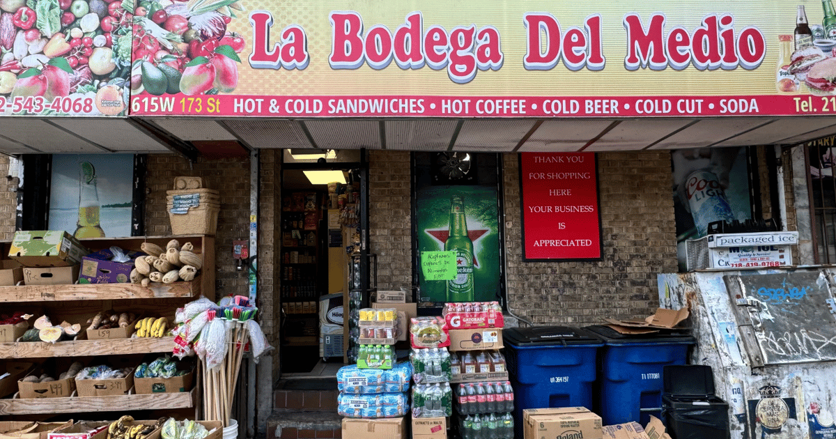 Group ready to sue NYC over its city-run grocery plan