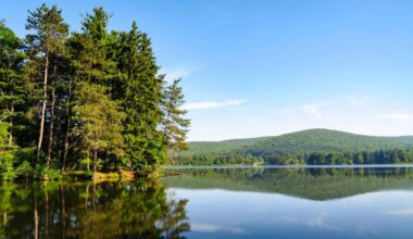 NY’s largest state park is a 65,000-acre prehistoric wilderness with an ancient ‘rock city’, hidden bear caves & lakeside sandy beaches perfect for a summer escape
