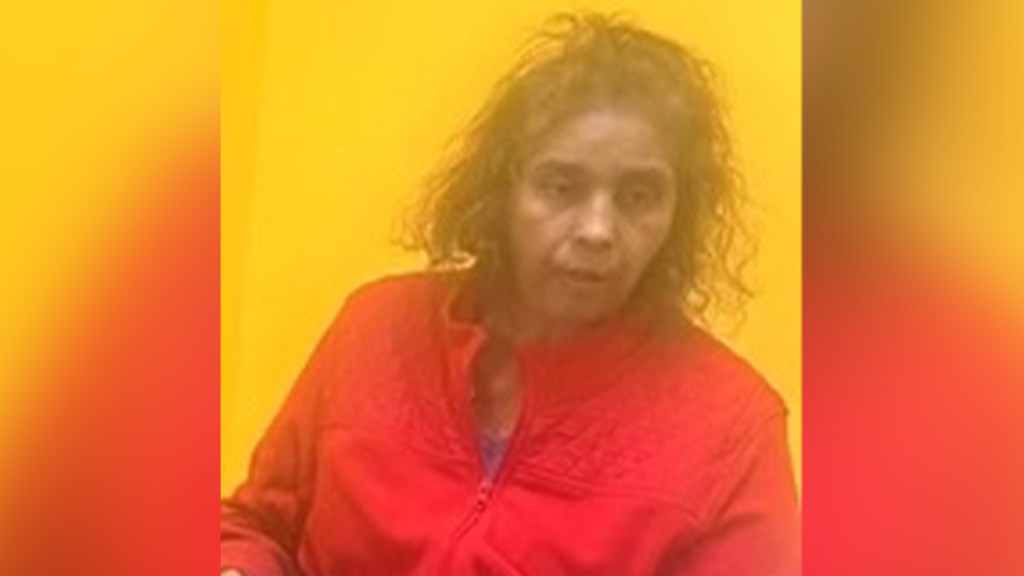 Queens man comes home from work to find wife stabbed dead by mentally ill daughter