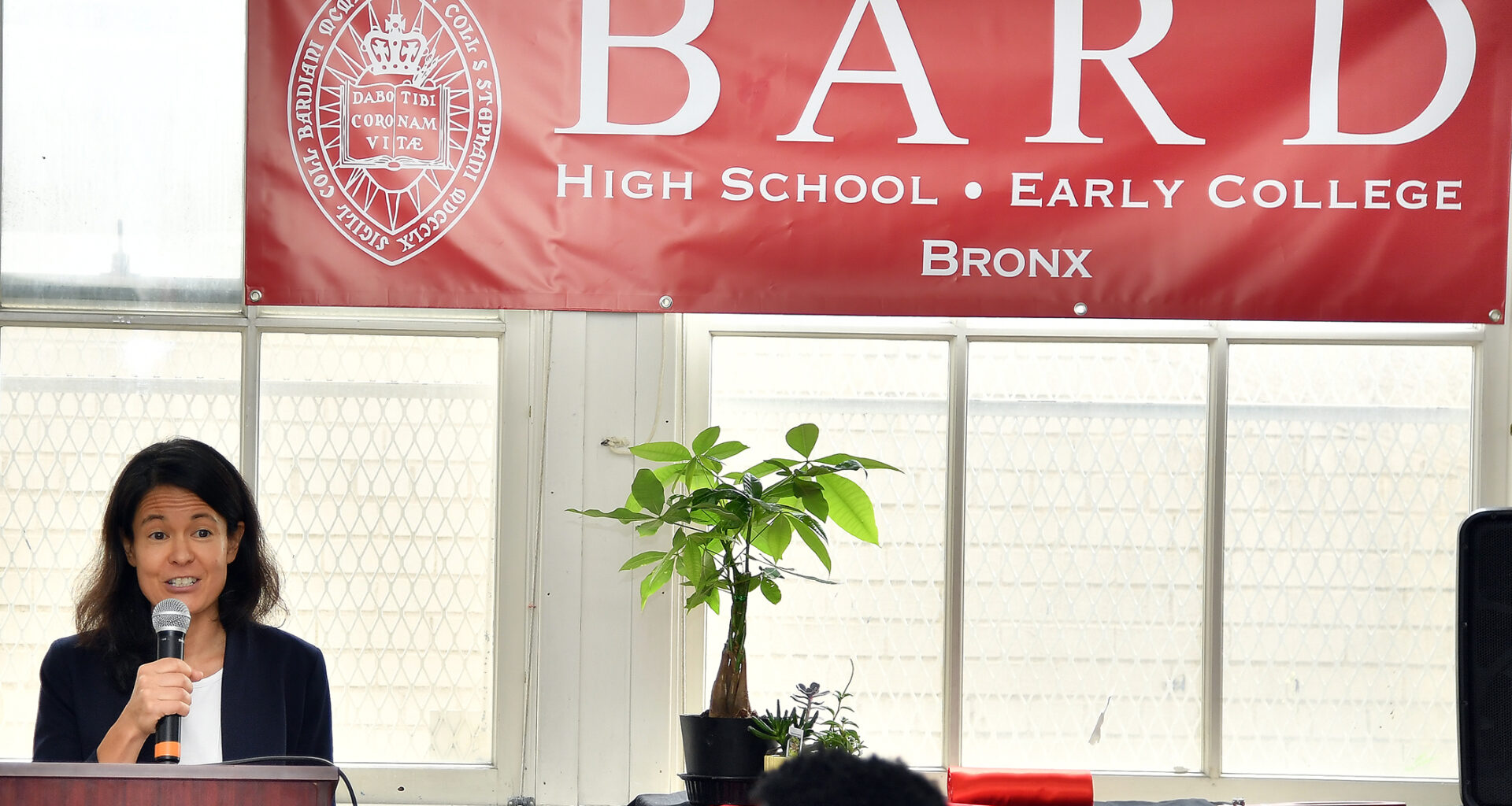 Pupils need more schools like Bard Bronx