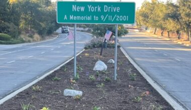 Fire-Damaged New York Drive Medians Restored as City Presses Wider Eaton Recovery – Pasadena Now