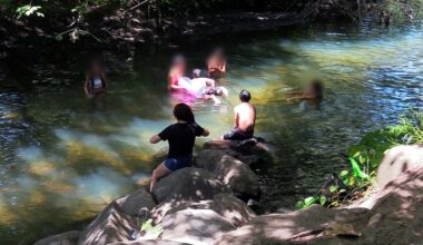 Unsupervised Children & Teens Continue Dangerous Swim in Bronx River