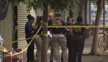 New York officer shot, suspect arrested after chase