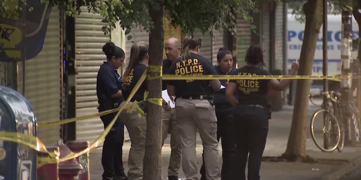 New York officer shot, suspect arrested after chase