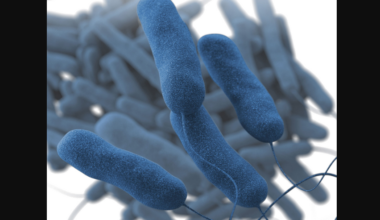 CNN WIRE - NYC Legionnaires’ disease outbreak declared over