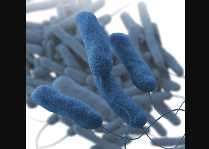 CNN WIRE - NYC Legionnaires’ disease outbreak declared over