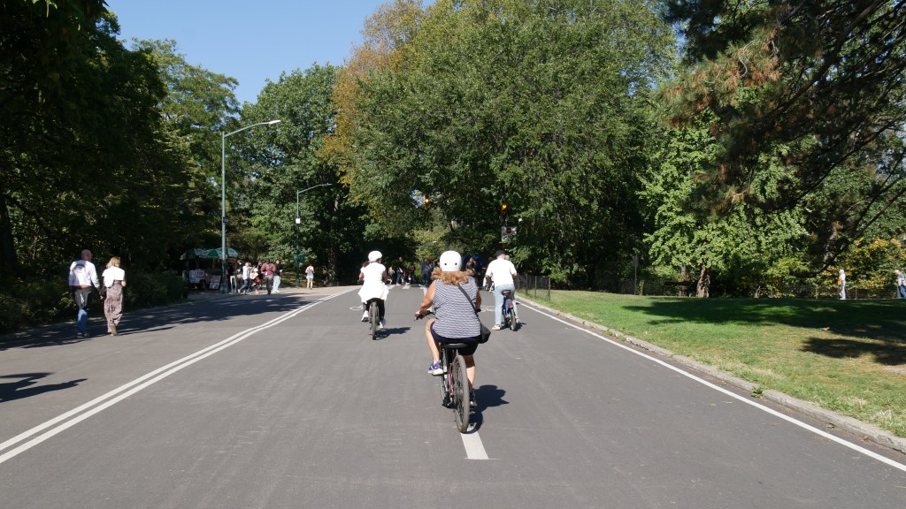 Cyclists ride along Central Park Drive