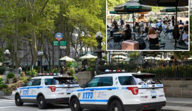 Bryant Park man accused of hurling cell phone at mother, baby