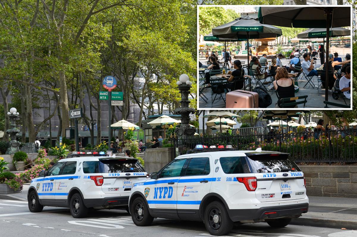 Bryant Park man accused of hurling cell phone at mother, baby