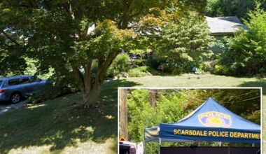 Scarsdale 26-year-old charged with stabbing and killing mom at her home — NYC suburbs' first homicide in a decade