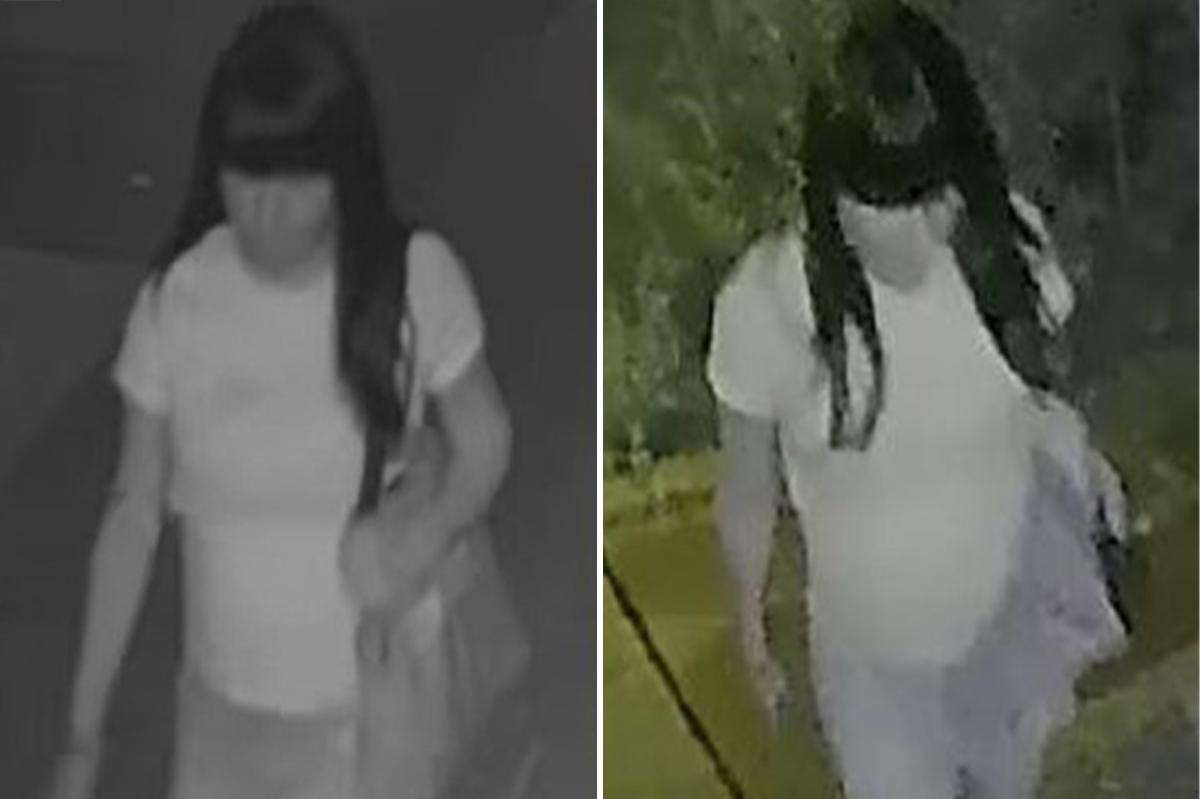 Police searching for creep who raped boy, 15, in back of NYC home