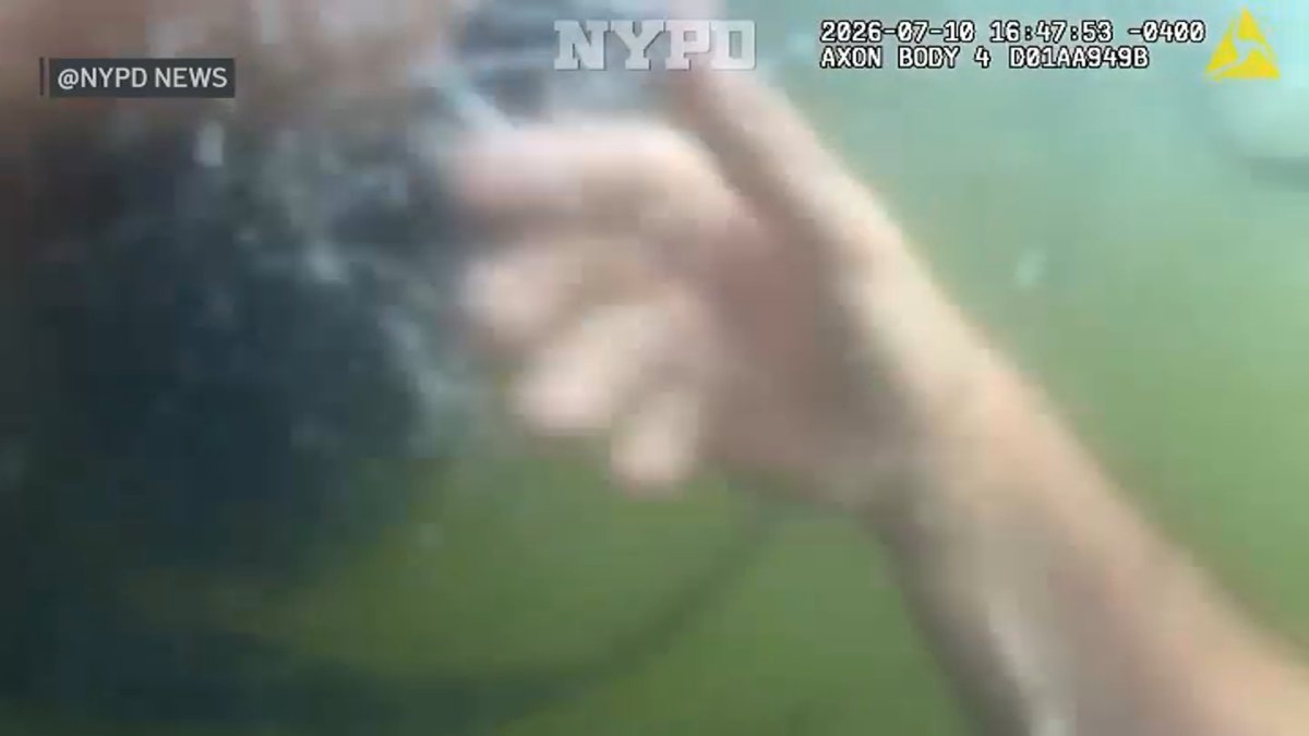 A helping hand: police rescue woman from creek in Queens – NBC New York