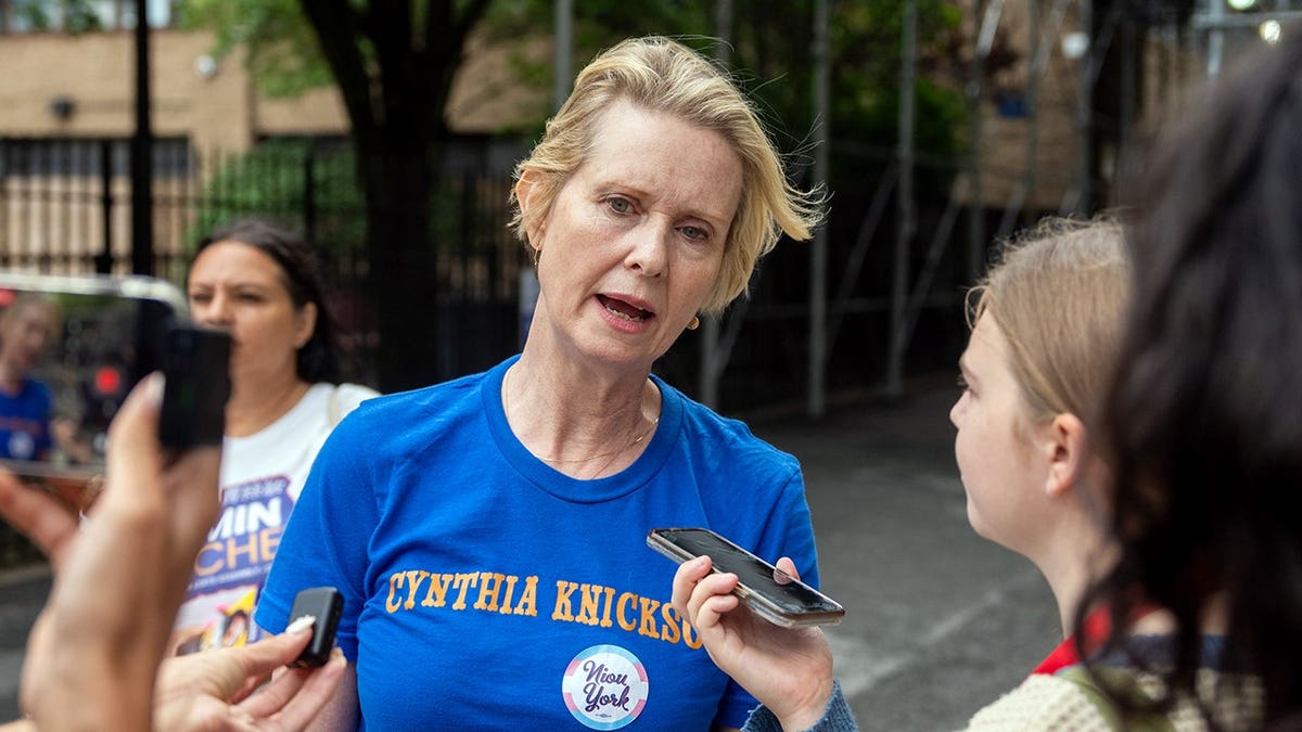 Sex and the City actress Cynthia Nixon is seen.