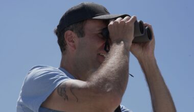 Chris Allieri: Helping city plovers soar