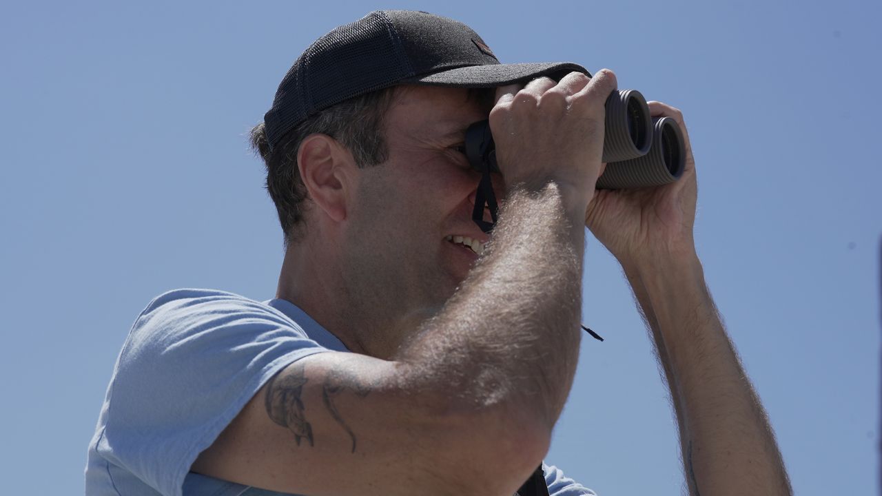 Chris Allieri: Helping city plovers soar