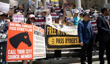 Horse carriage ban legislation gains steam as Council Majority Leader Abreu jumps on board