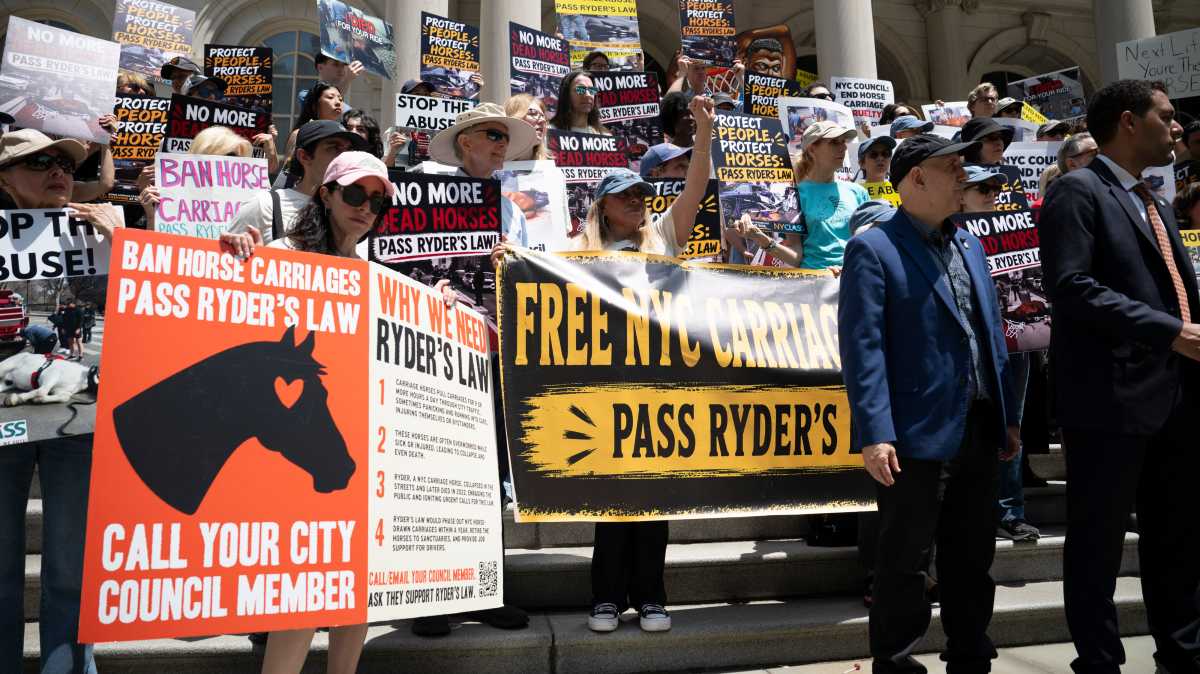 Horse carriage ban legislation gains steam as Council Majority Leader Abreu jumps on board