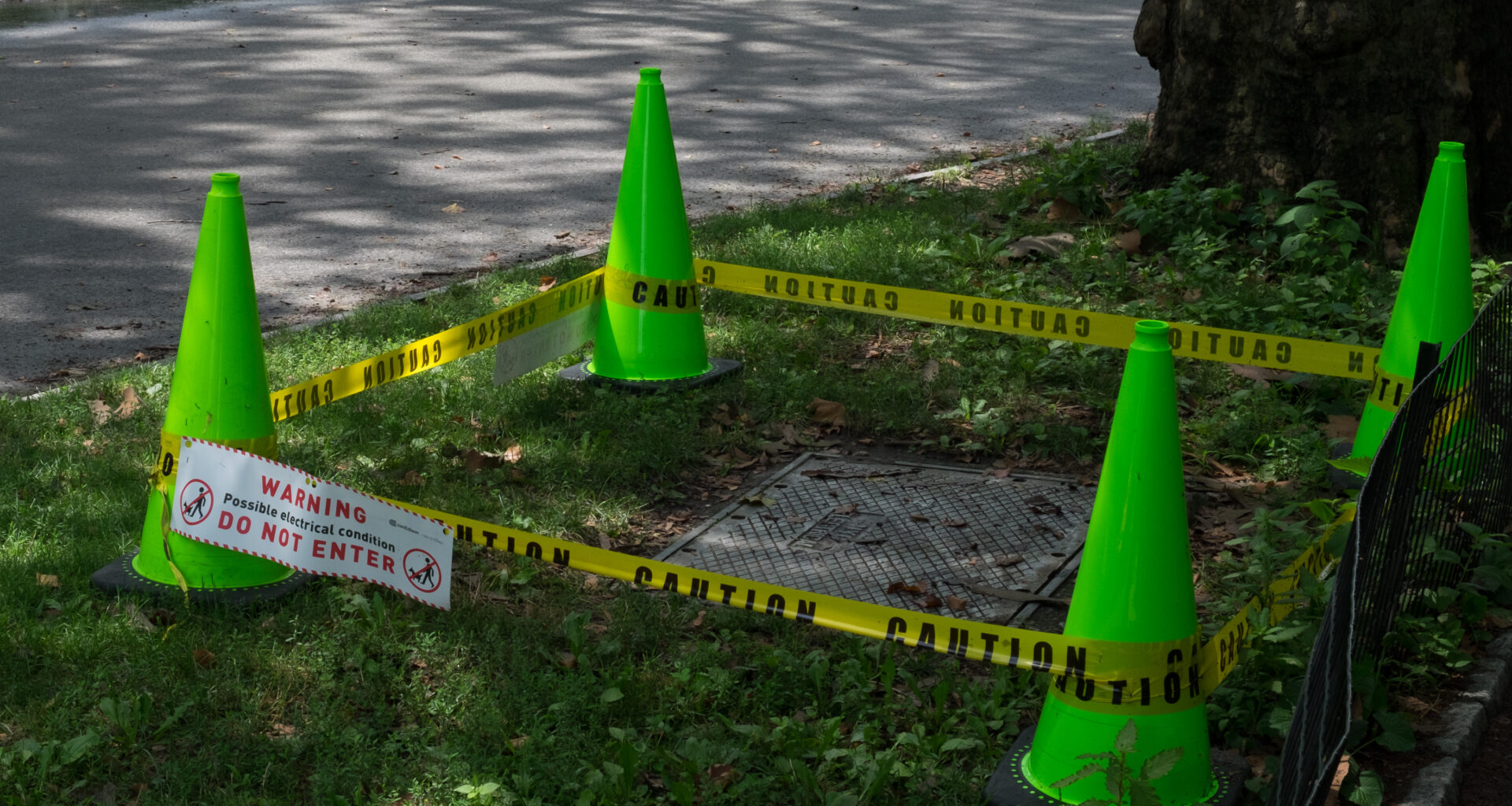 Stray voltage discovered in NYC's Central Park, but did it cause the deadly horse carriage crash?