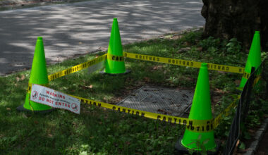 Stray voltage discovered in NYC's Central Park, but did it cause the deadly horse carriage crash?